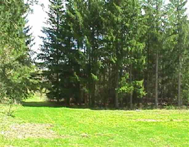 144 County Rt 312 Westerlo, NY 12193 - Photo 3 of 4 Photo 3