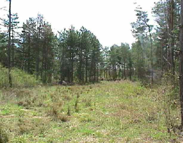 144 County Rt 312 Westerlo, NY 12193 - Photo 4 of 4 Photo 4