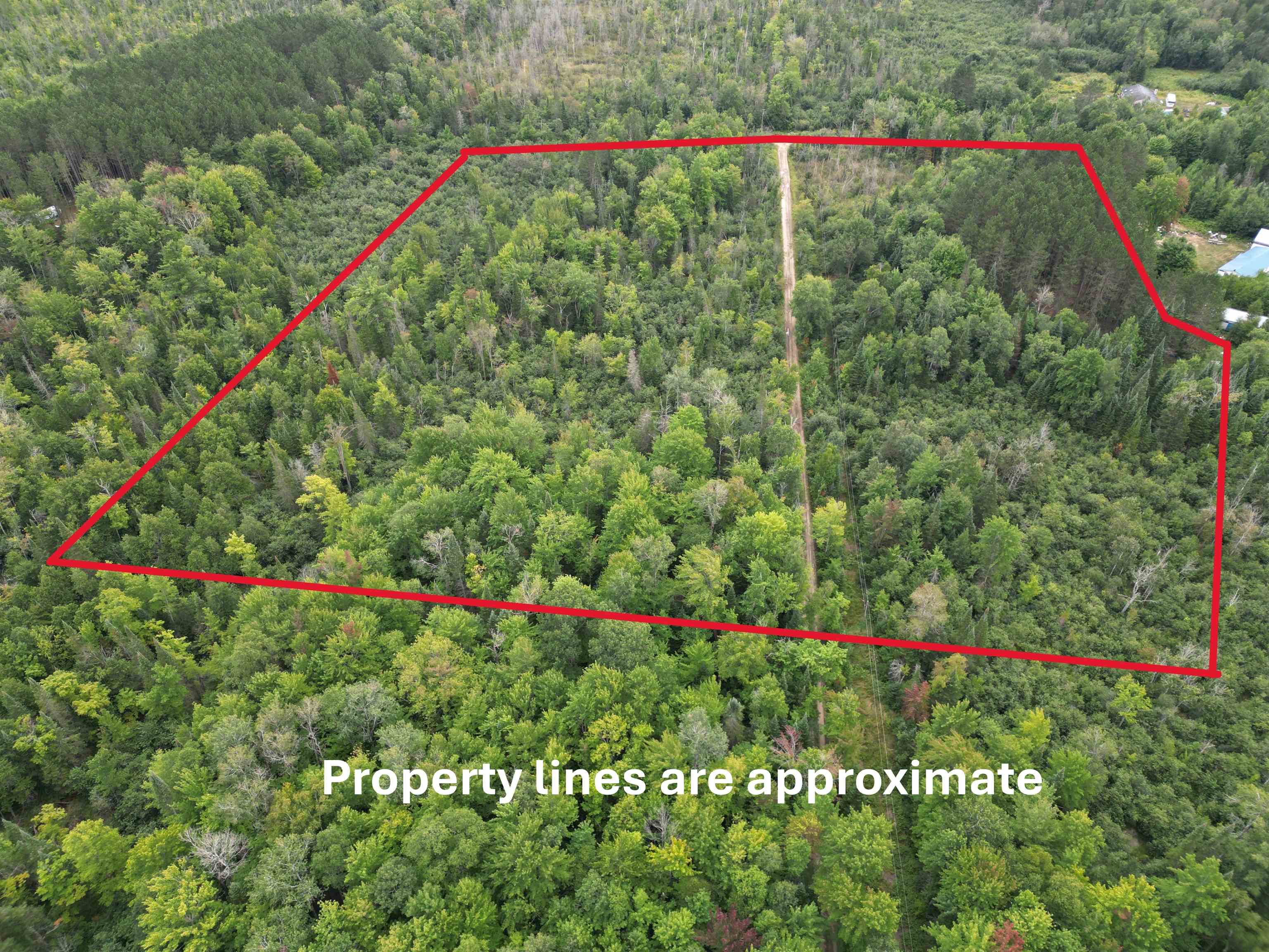 10.11-acres Golden Road Southeast Kalkaska, MI 49646 - Photo 1 of 17