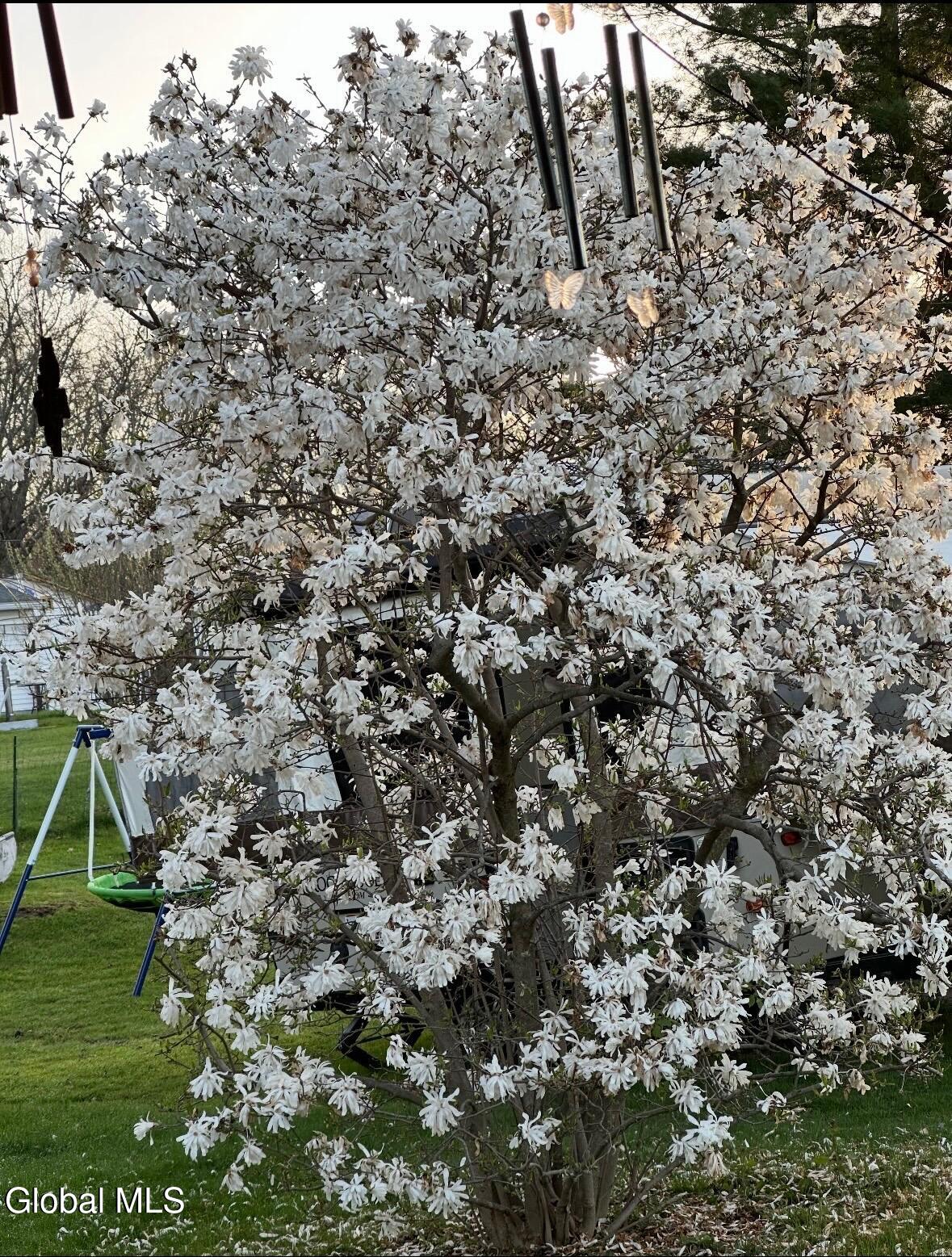 4 Woodrow Road Amsterdam, NY 12010 - Photo 50 of 55 IMG_4352