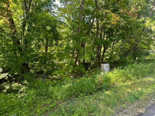 $13,500 | 138 County Road 138, Garrison, MN 56450