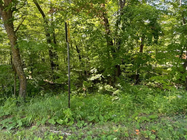 $13,500 | 138 County Road 138, Garrison, MN 56450