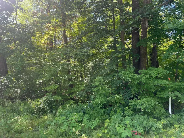 $13,500 | 138 County Road 138, Garrison, MN 56450