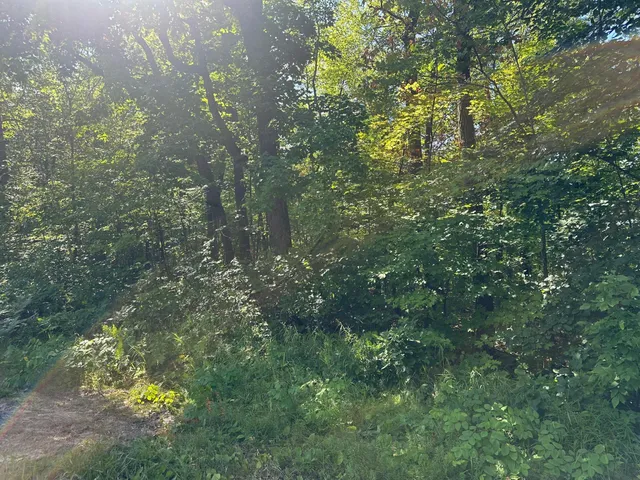 $13,500 | 138 County Road 138, Garrison, MN 56450