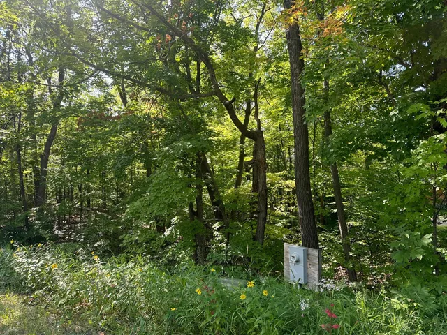 $13,500 | 138 County Road 138, Garrison, MN 56450