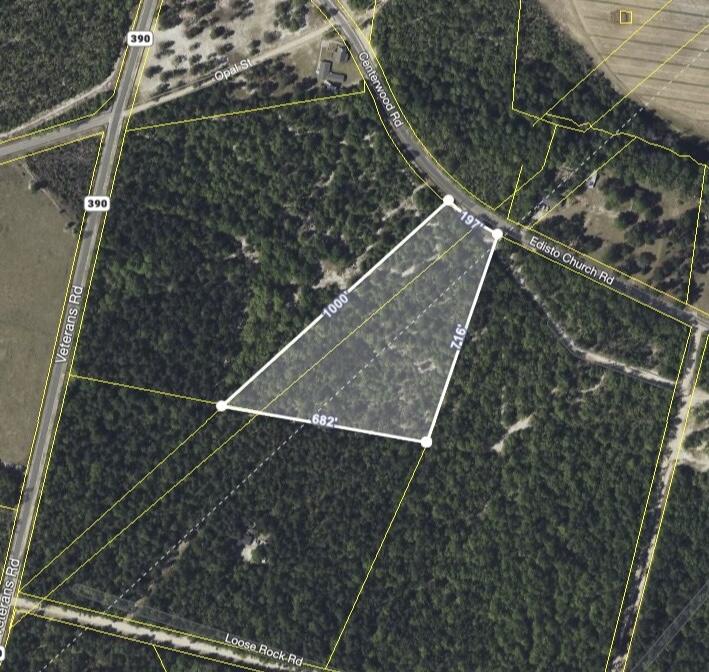 Tbd Tbd Edisto Church/veterans Road Williston, SC 29853 - Photo 3 of 9