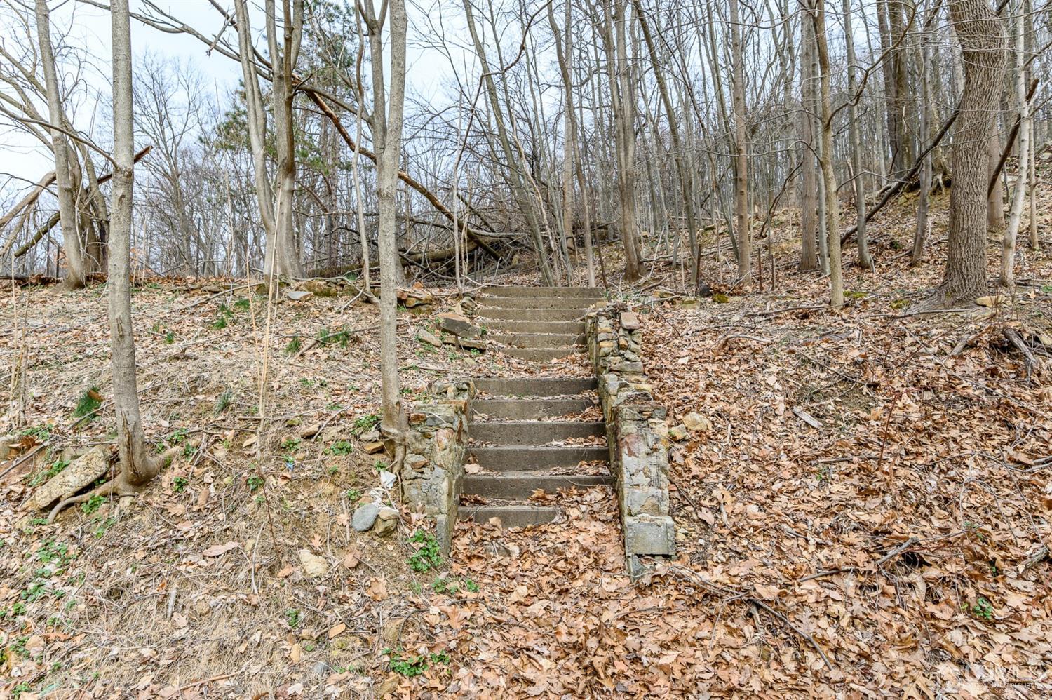 146 Millbrook Road Washington, NJ 07882 - Photo 25 of 25 a backyard of a house with lots of green space