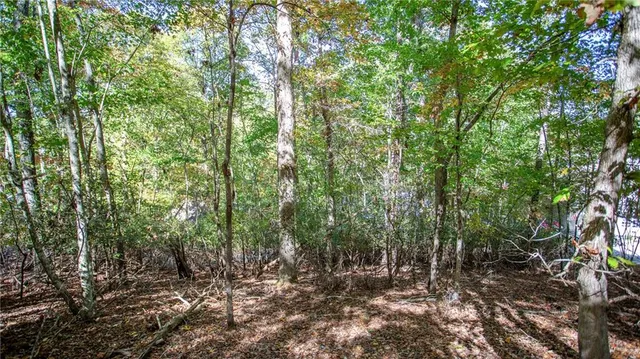 $85,000 | 7836 Beachwood Drive, Murrayville, GA 30564