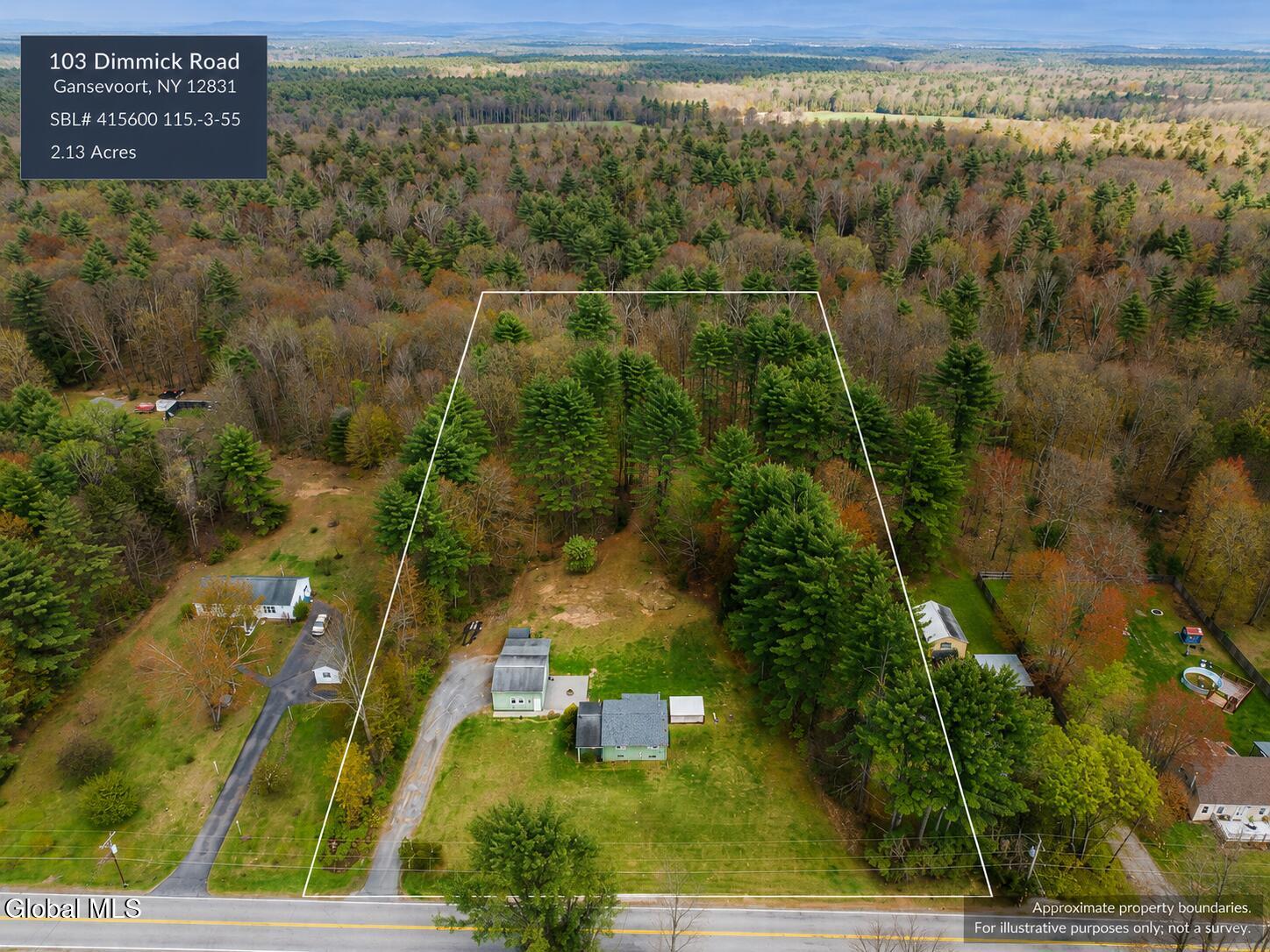 103 Dimmick Road Wilton, NY 12831 - Photo 44 of 51 Lot line overlay