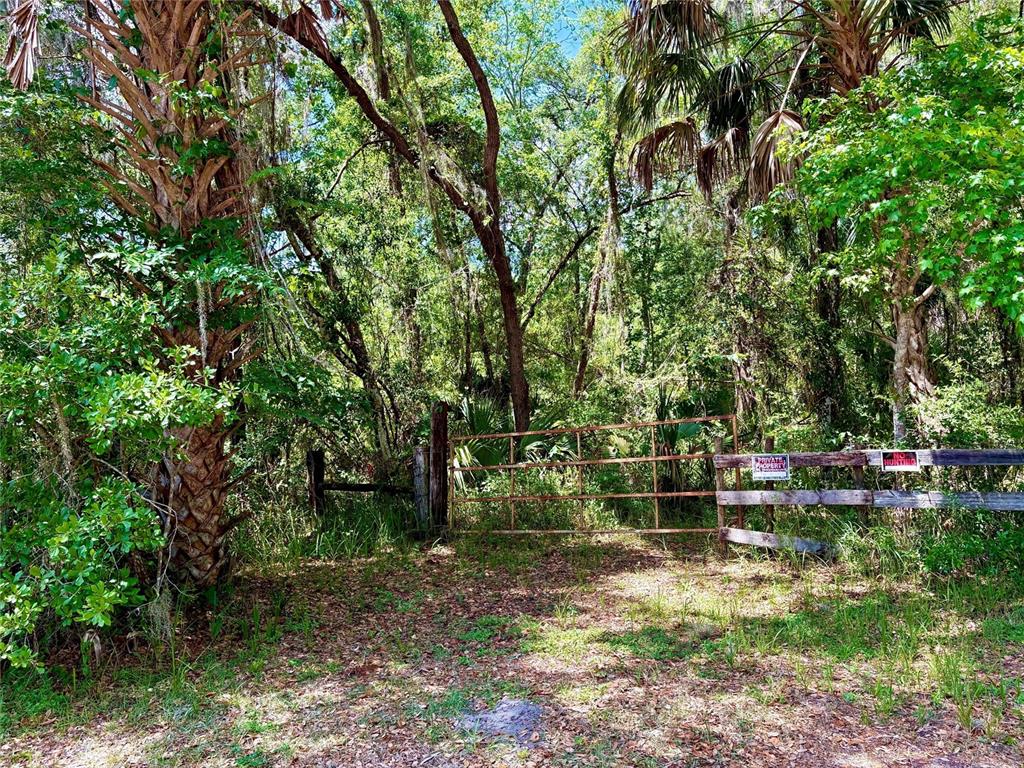 Old Crystal River Road Brooksville, FL 34601 - Photo 1 of 3