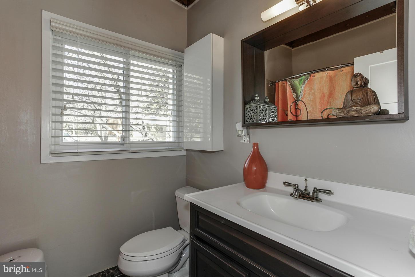 3019 Pine Spring Road Falls Church, VA 22042 - Photo 16 of 30 Bath