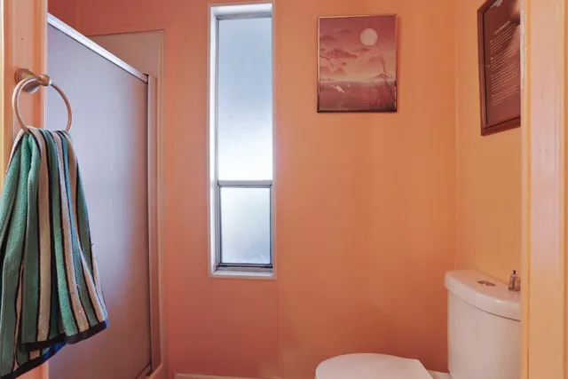 view of a yard with plants