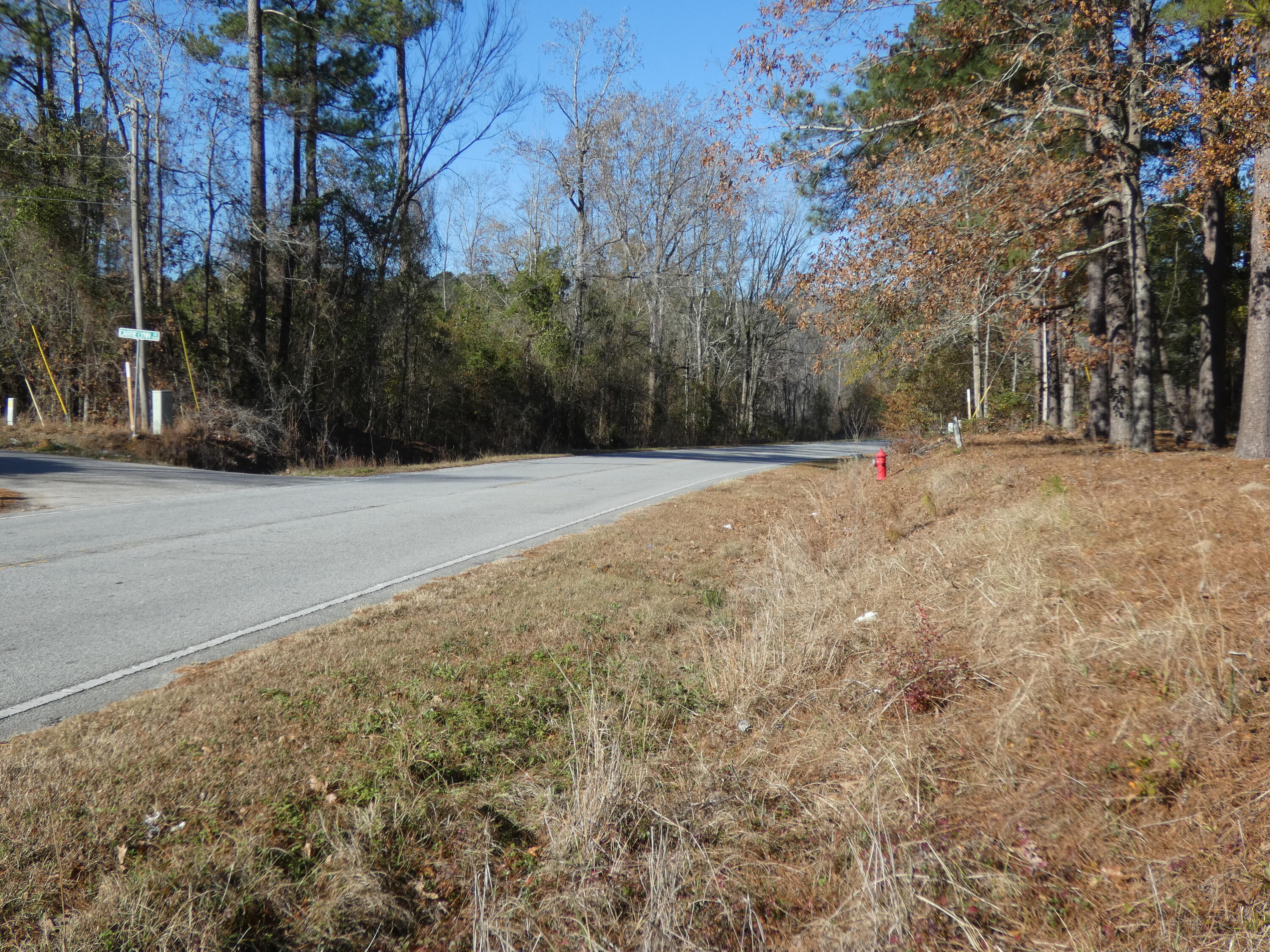 7615 Raccoon Road Manning, SC 29102 - Photo 28 of 28 Gallery Image 28
