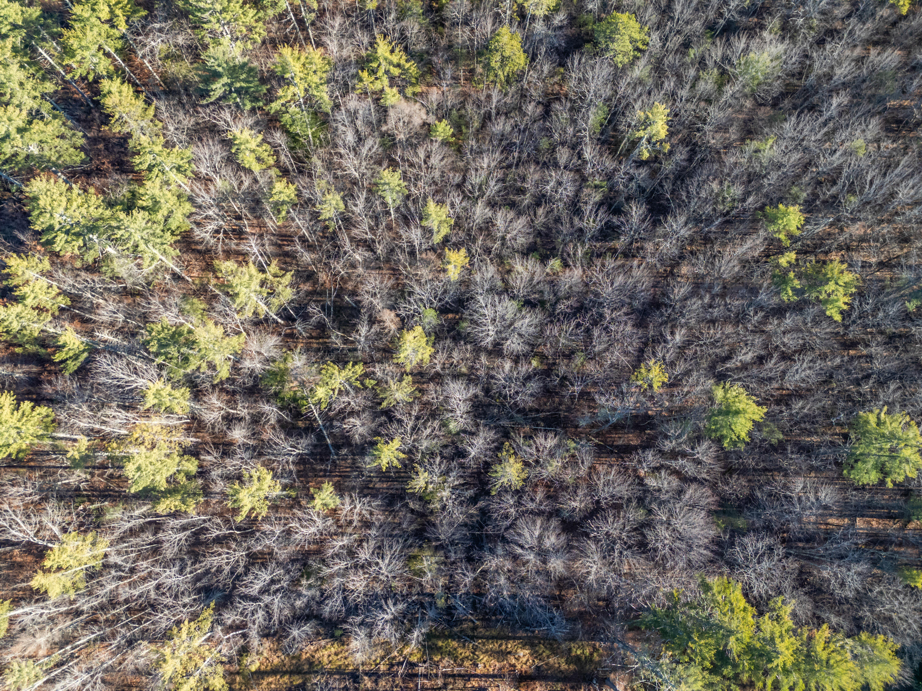 35 Hoffman Lane Lebanon, ME 04027 - Photo 7 of 15 35 Hoffman Ln_107