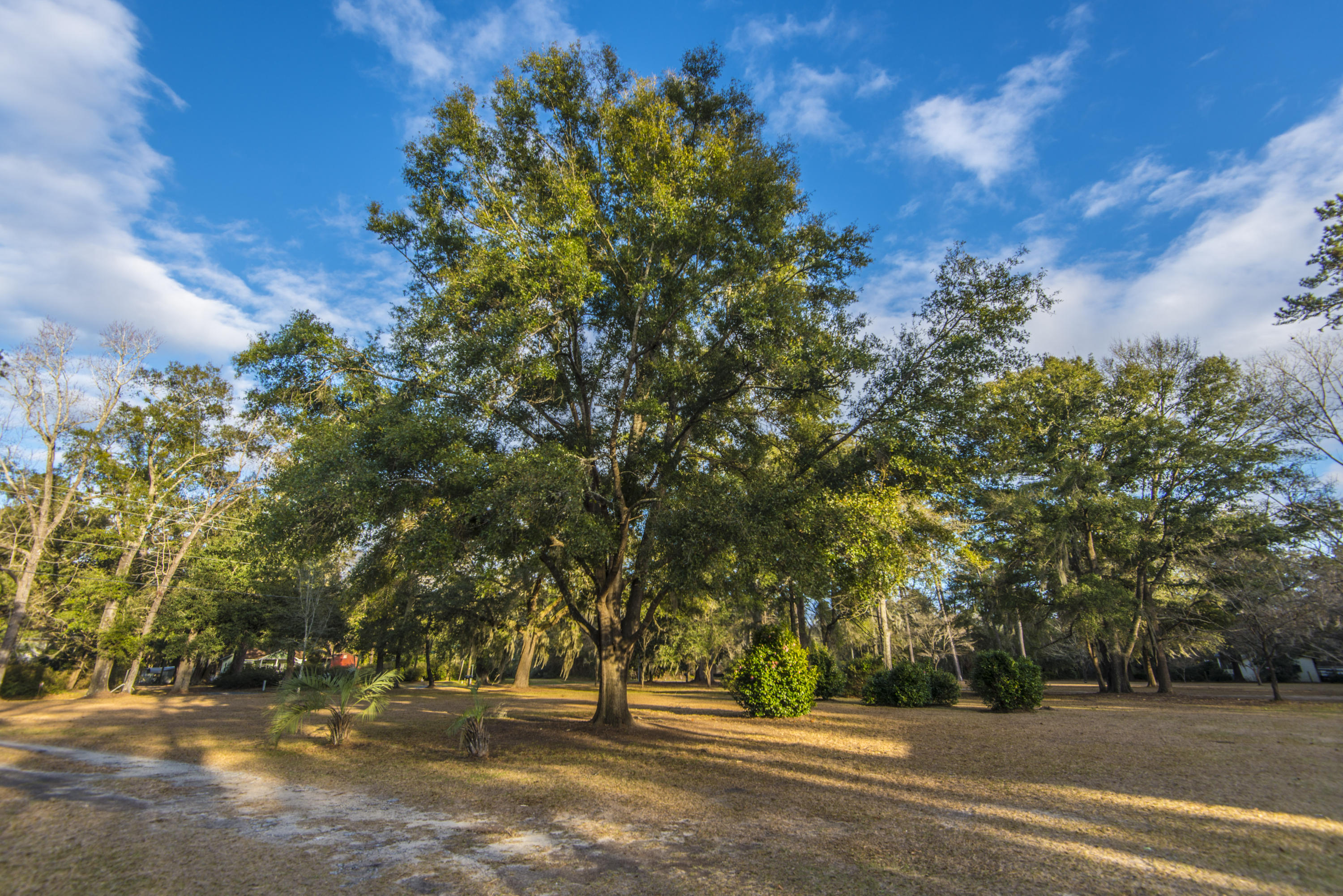 2070 River Road Johns Island, SC 29455 - Photo 11 of 34 _DSC3641