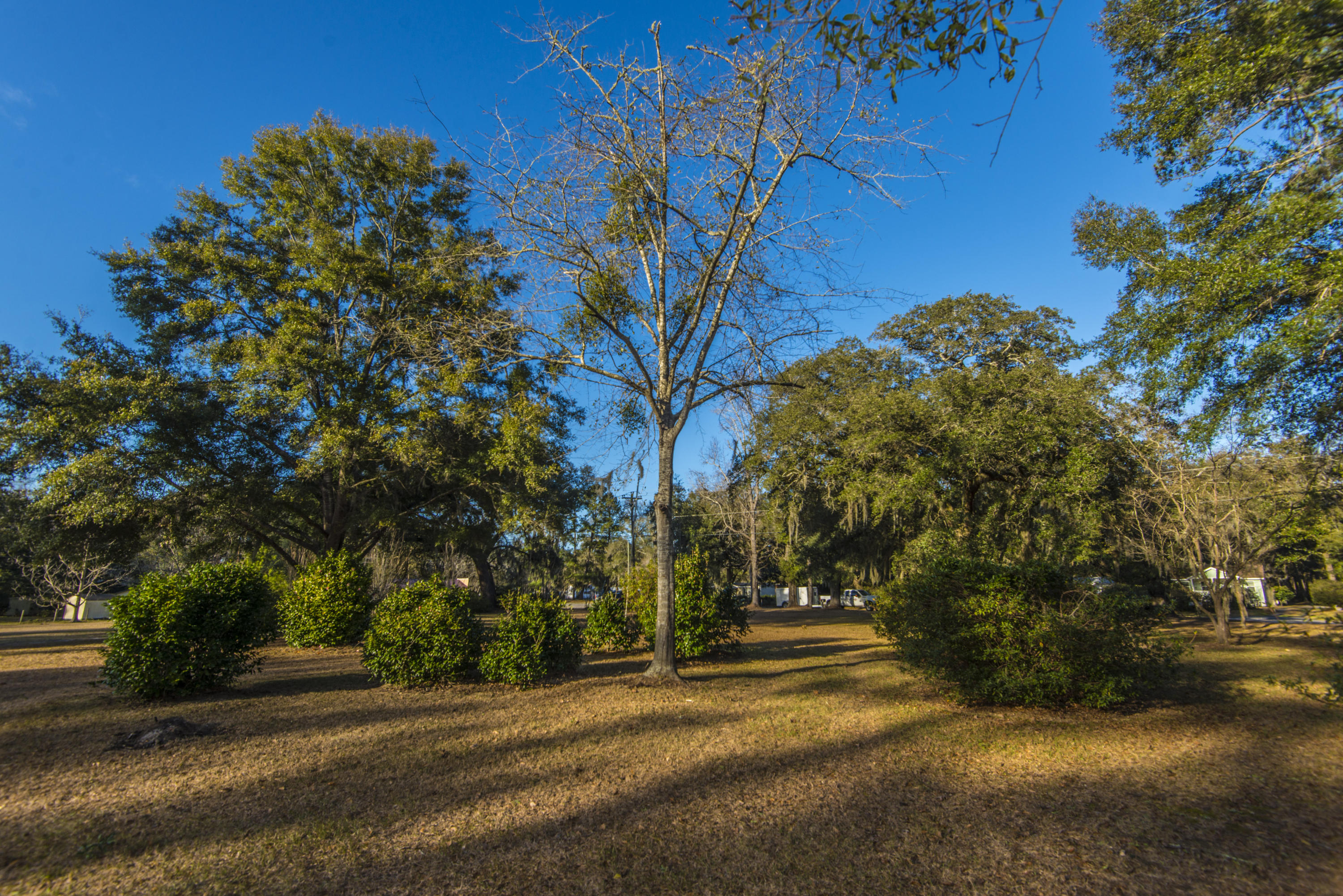 2070 River Road Johns Island, SC 29455 - Photo 12 of 34 _DSC3594
