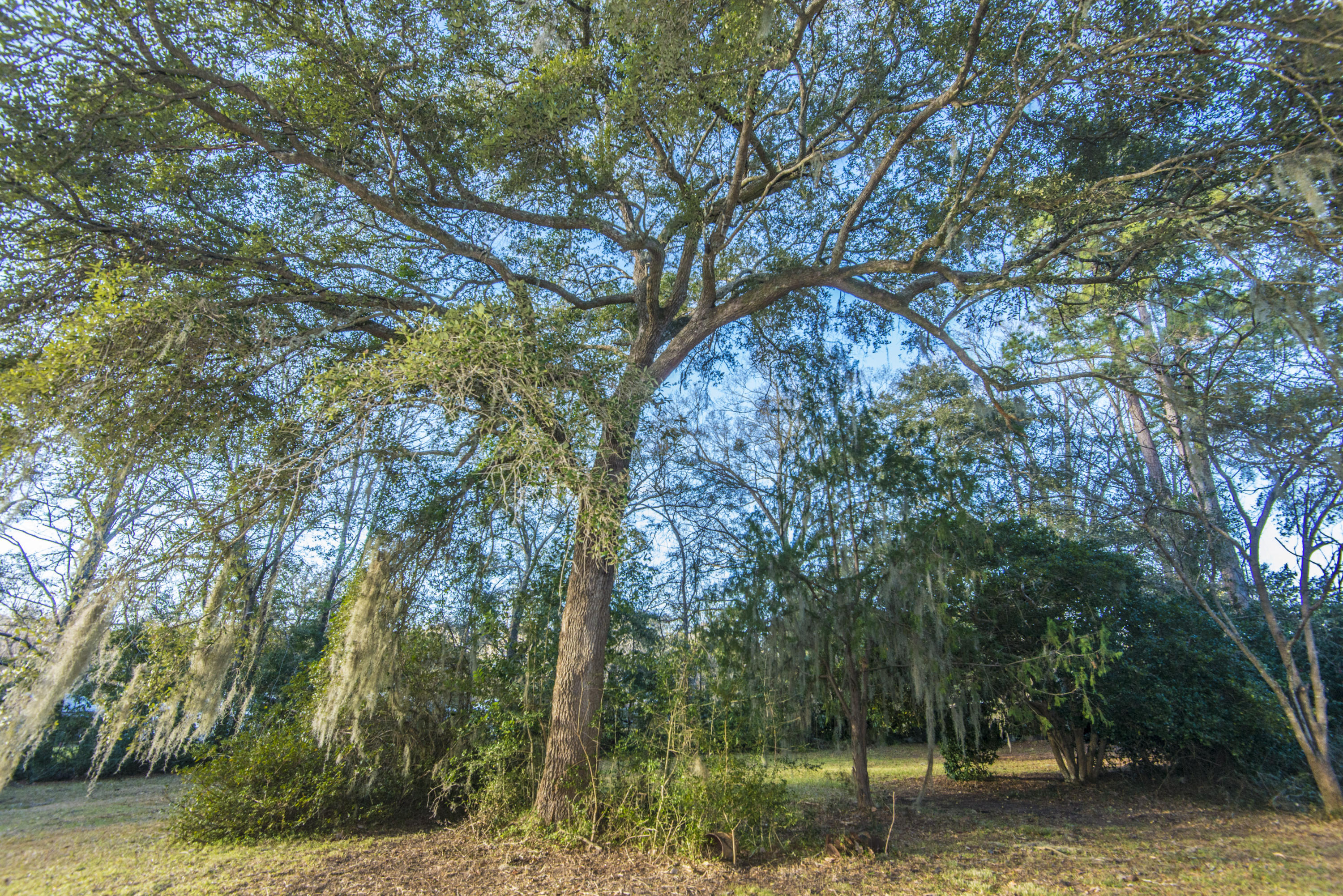 2070 River Road Johns Island, SC 29455 - Photo 20 of 34 _DSC3608
