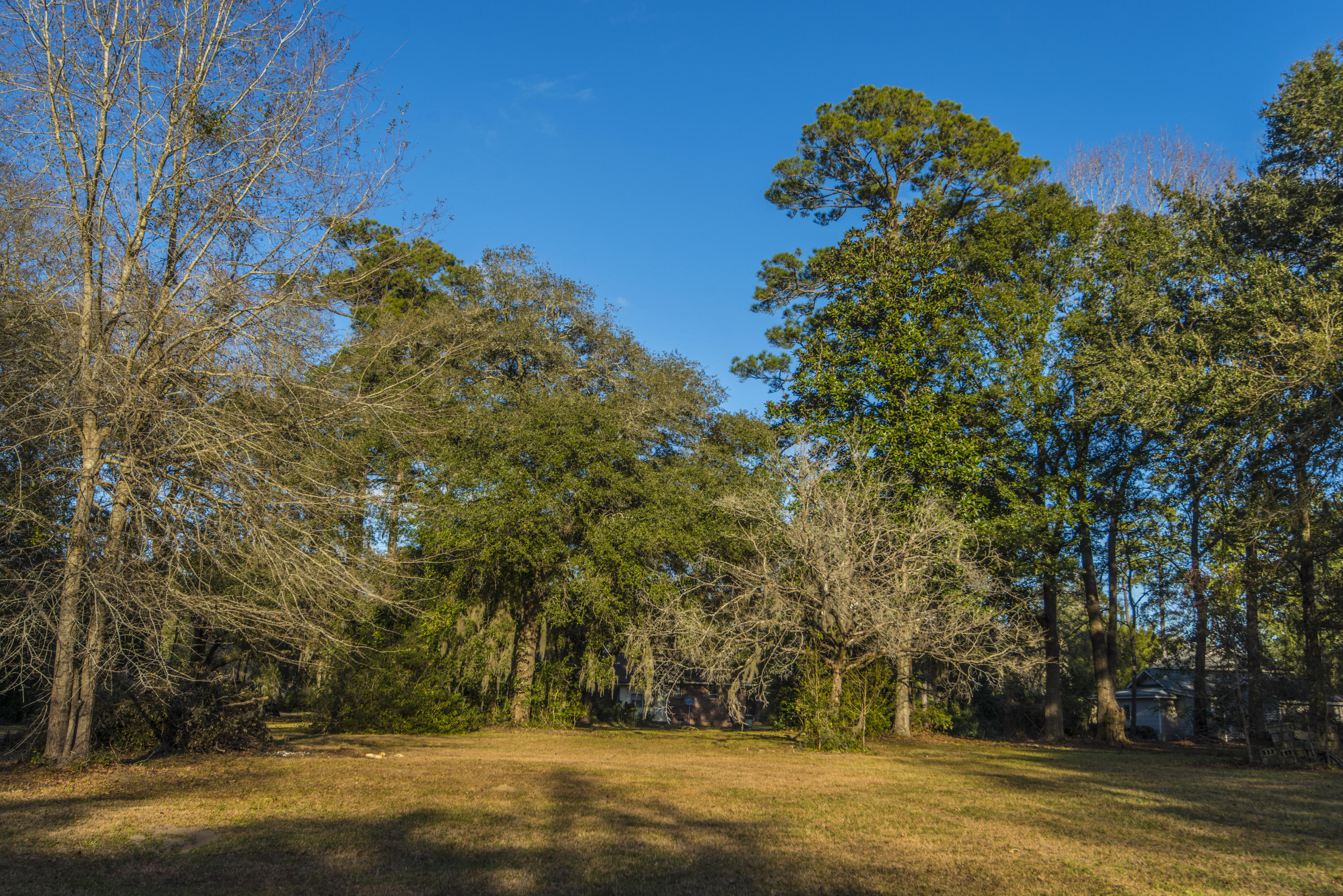 2070 River Road Johns Island, SC 29455 - Photo 23 of 34 _DSC3612