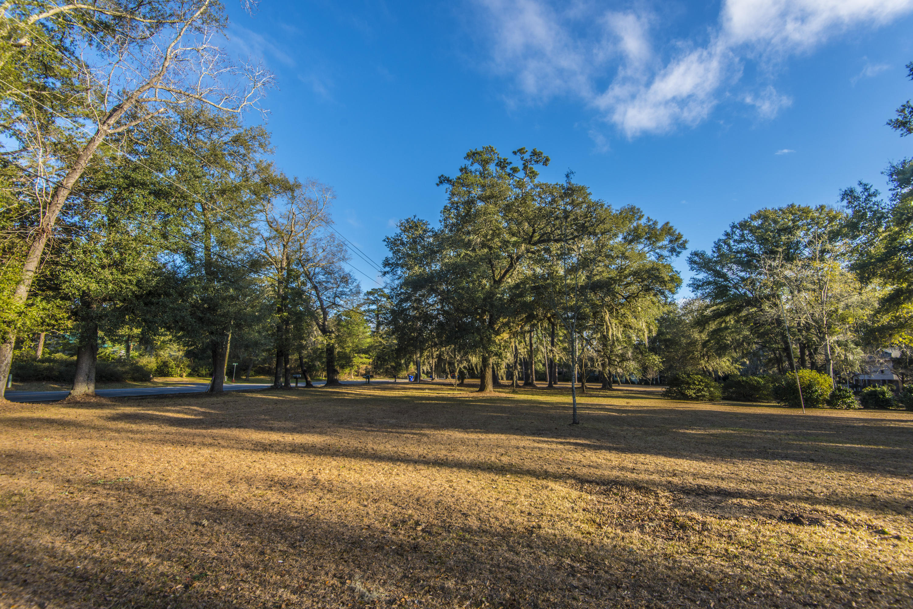 2070 River Road Johns Island, SC 29455 - Photo 10 of 34 _DSC3589