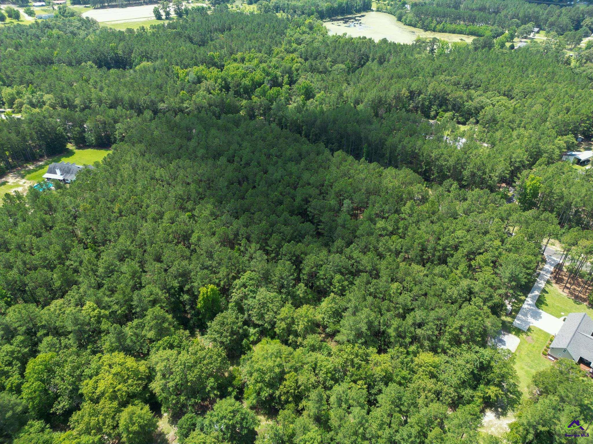 Lot 9 Cherokee Trail Road Eastman, GA 31023 - Photo 7 of 18