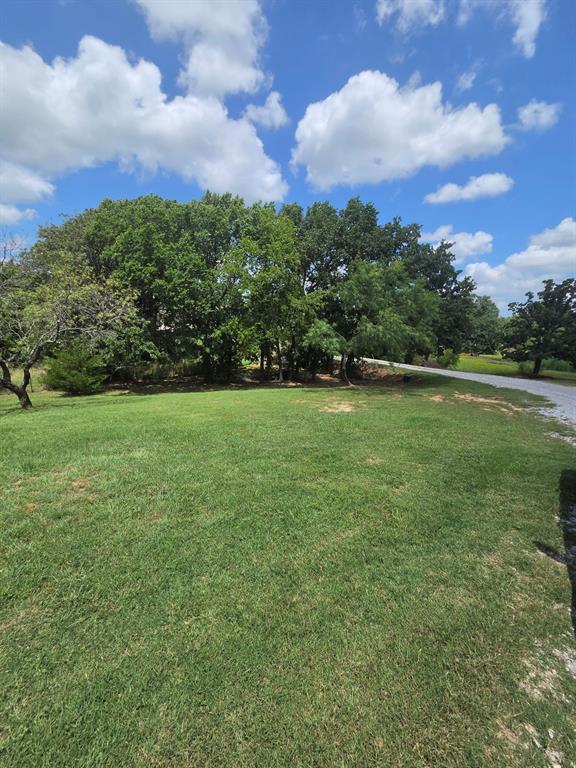 511 Erwin Road Poolville, TX 76487 - Photo 31 of 36 Gorgeous front yard