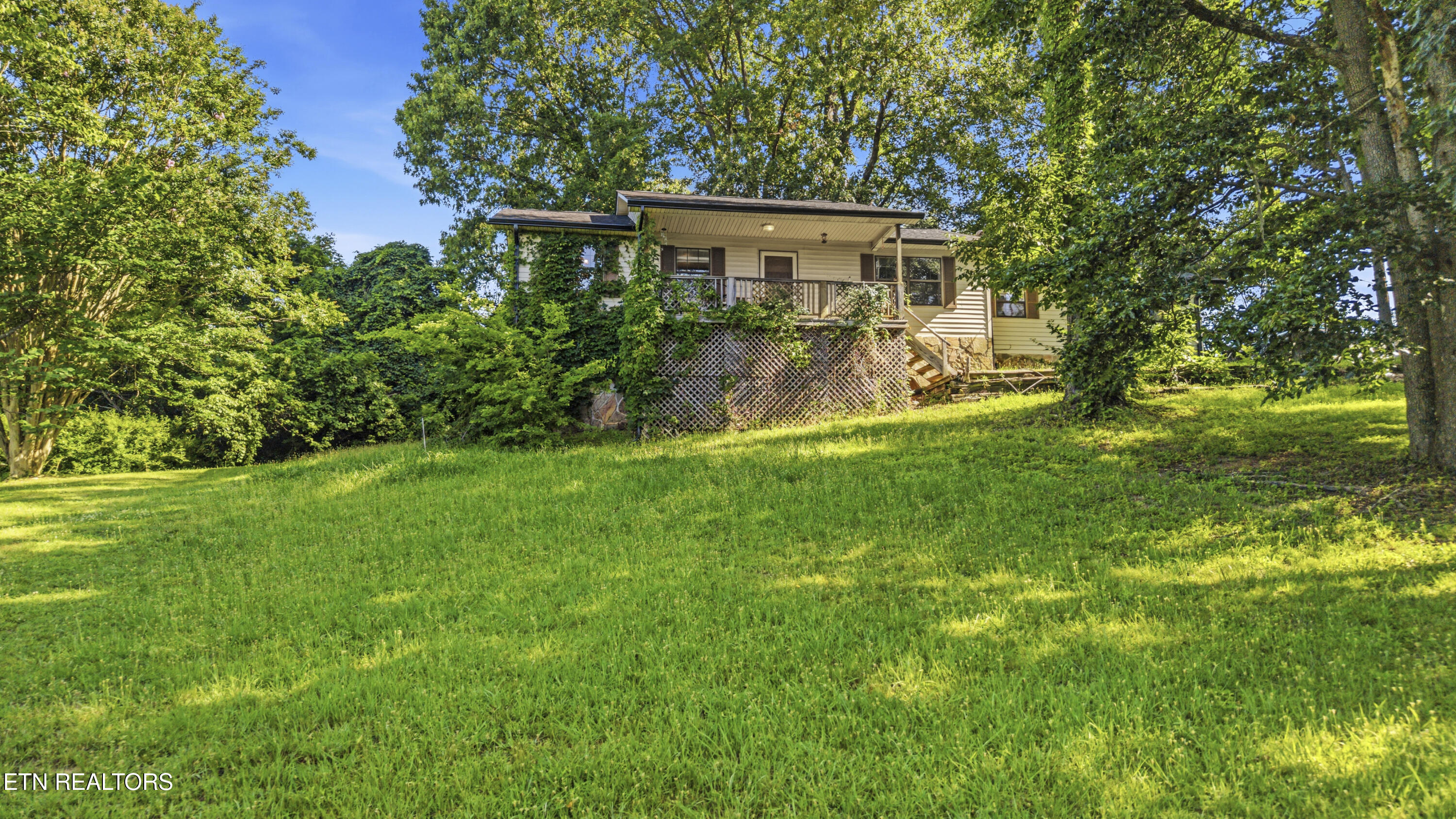 205 Booker Road Maynardville, TN 37807 - Photo 8 of 24 DJI_20260703101515_0248_D