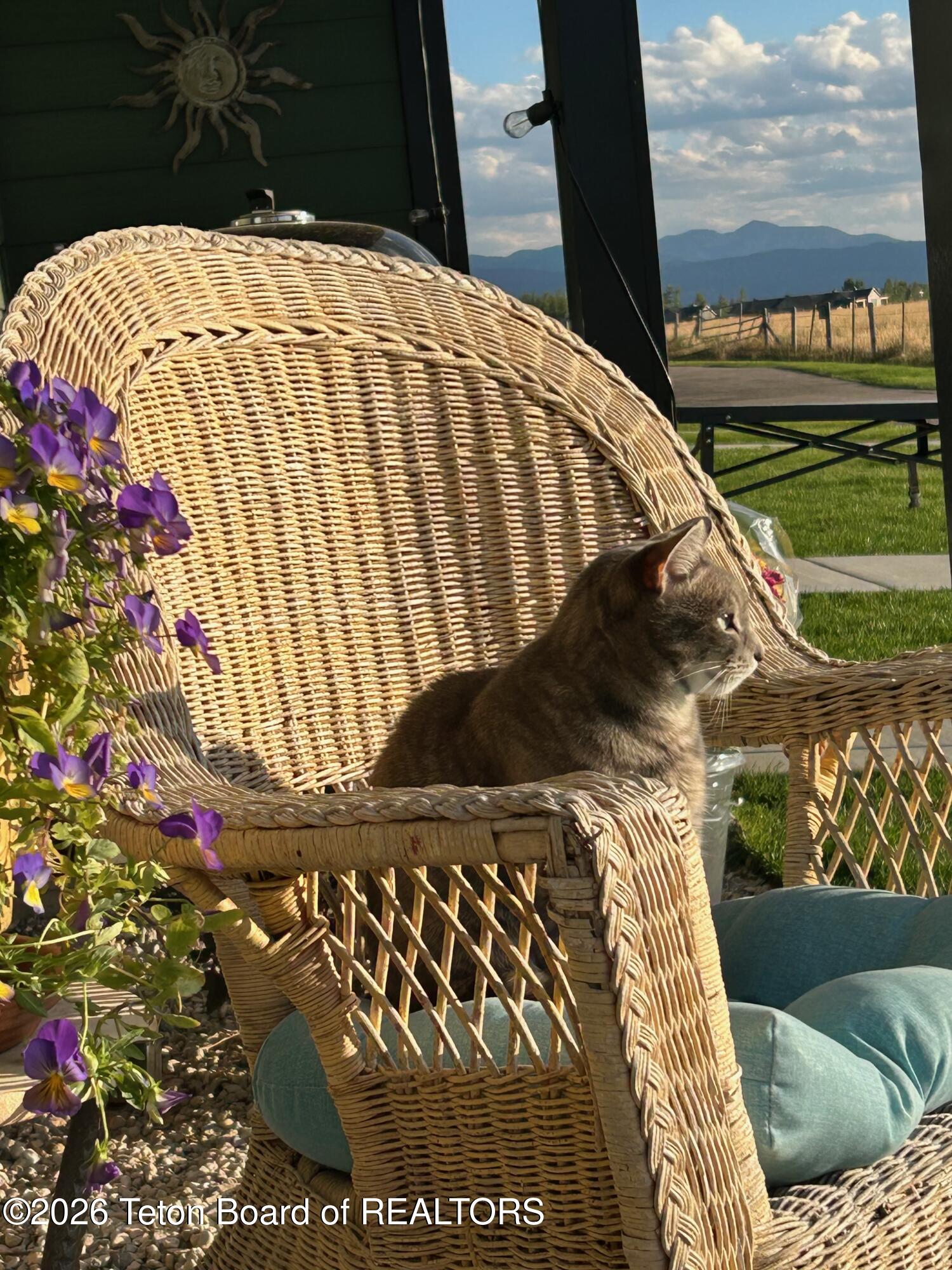 1628 Hubbard Way Driggs, ID 83422 - Photo 36 of 43 IMG_4142