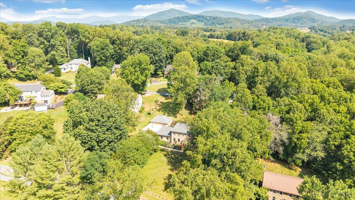 209 Quail Ridge Drive Forest, VA 24551 - Photo 61 of 67
