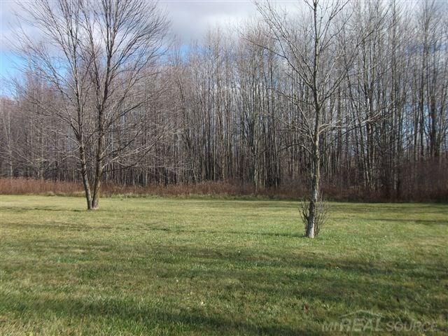 2630 Reeves Road Memphis, MI 48041 - Photo 3 of 14