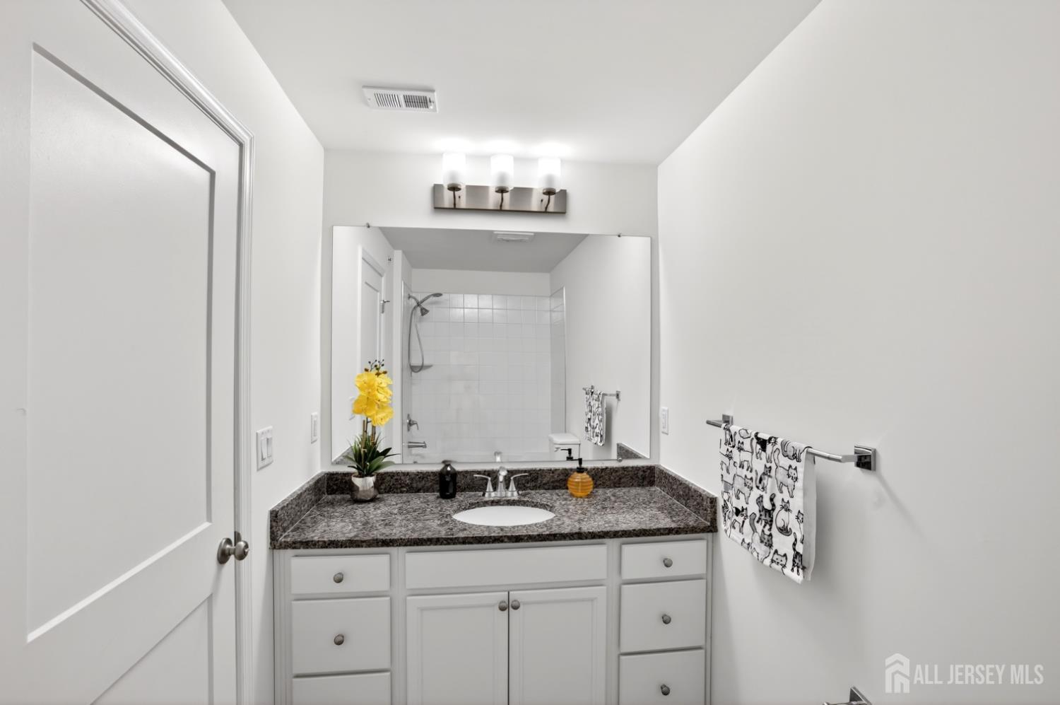 728 Station Road Dunellen, NJ 08812 - Photo 23 of 51