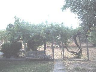 2089 Mill Road Novato, CA 94947 - Photo 3 of 5 Gallery Image 3