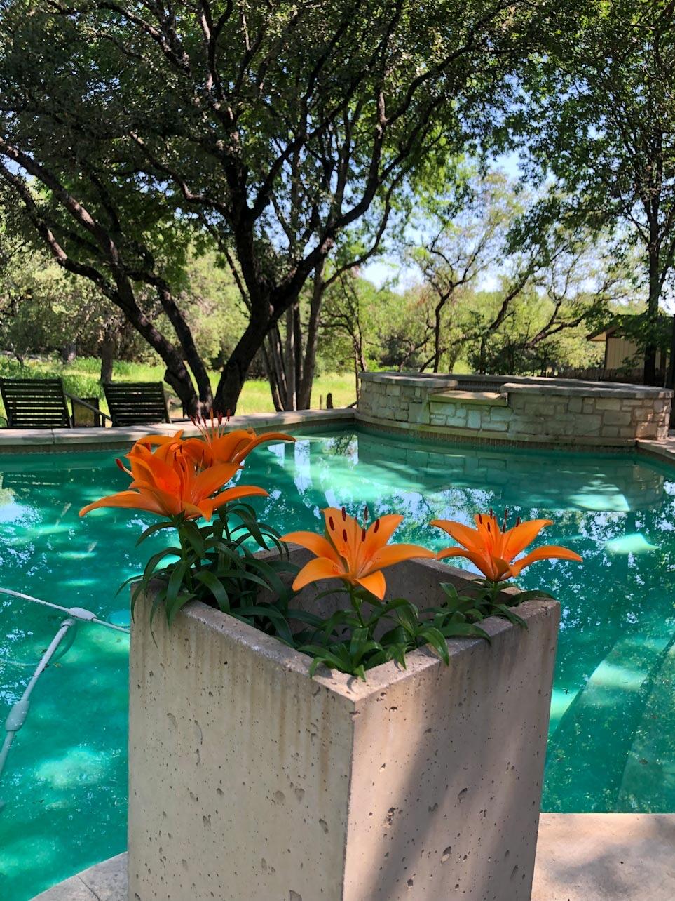 730 Shade Tree Drive Austin, TX 78748 - Photo 22 of 22