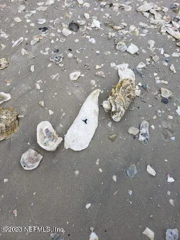 $4,200,000 | 10020 Heckscher Drive, Jacksonville, FL 32226