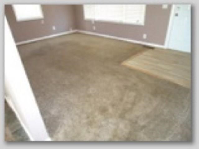 12365 Neff Road Clio, MI 48420 - Photo 28 of 34 21491069-27.JPG