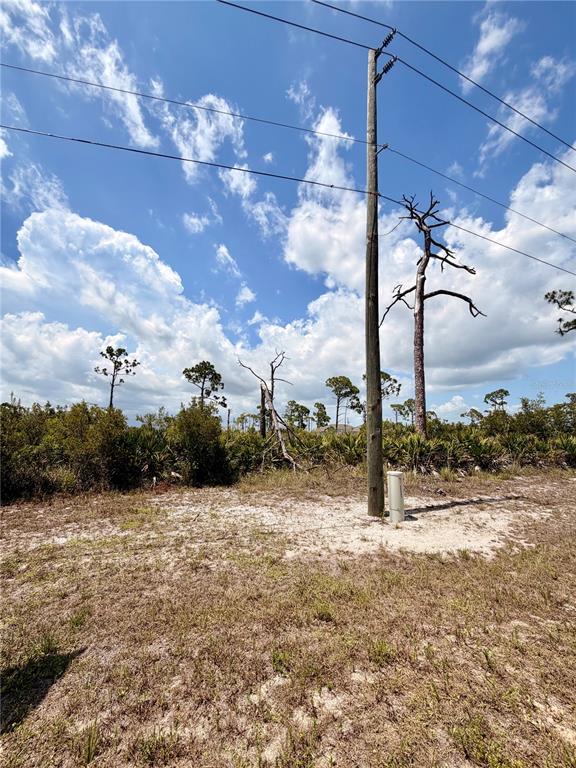 6 Harness Road Placida, FL 33946 - Photo 4 of 10