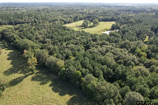 $324,000 | 168-1 County Road 168, Long Branch, TX 75669