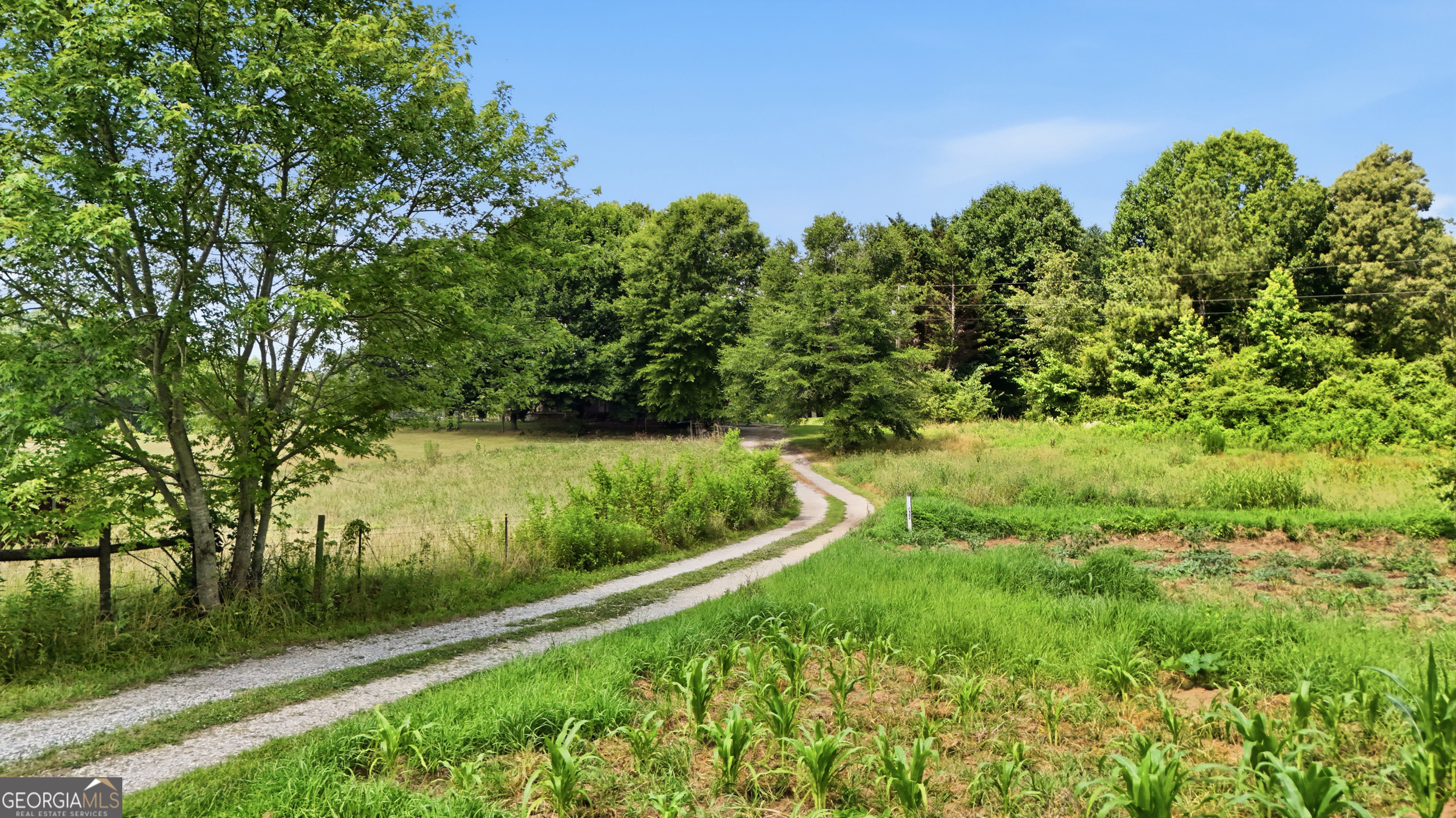 7482 Duncan Bridge Road Cleveland, GA 30528 - Photo 66 of 67