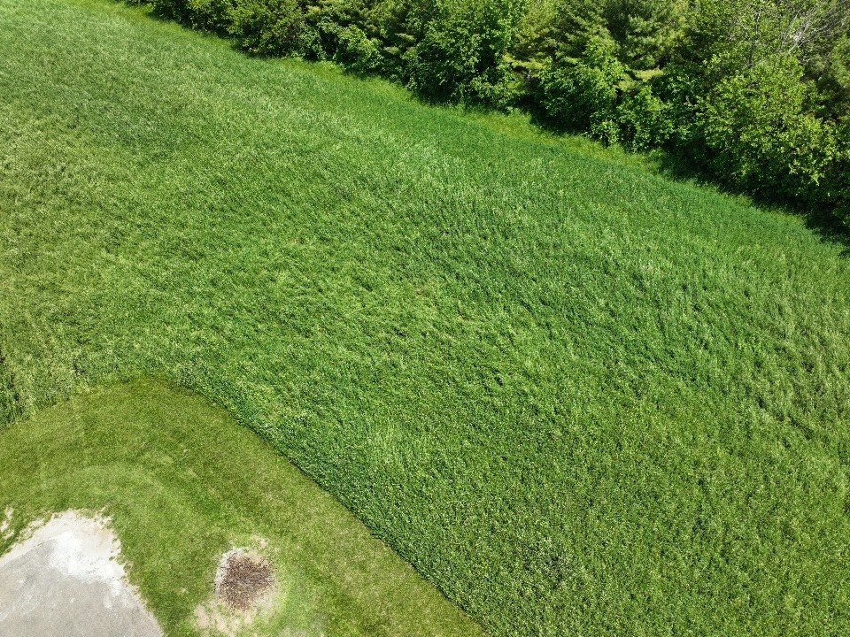 Lot 46 Edgewater Mattoon, IL 61938 - Photo 3 of 4