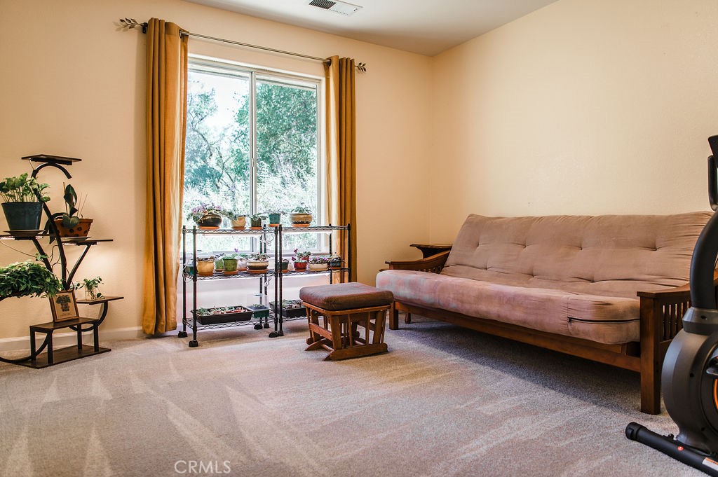 3619 Fig Tree Spring Road Mariposa, CA 95338 - Photo 17 of 38