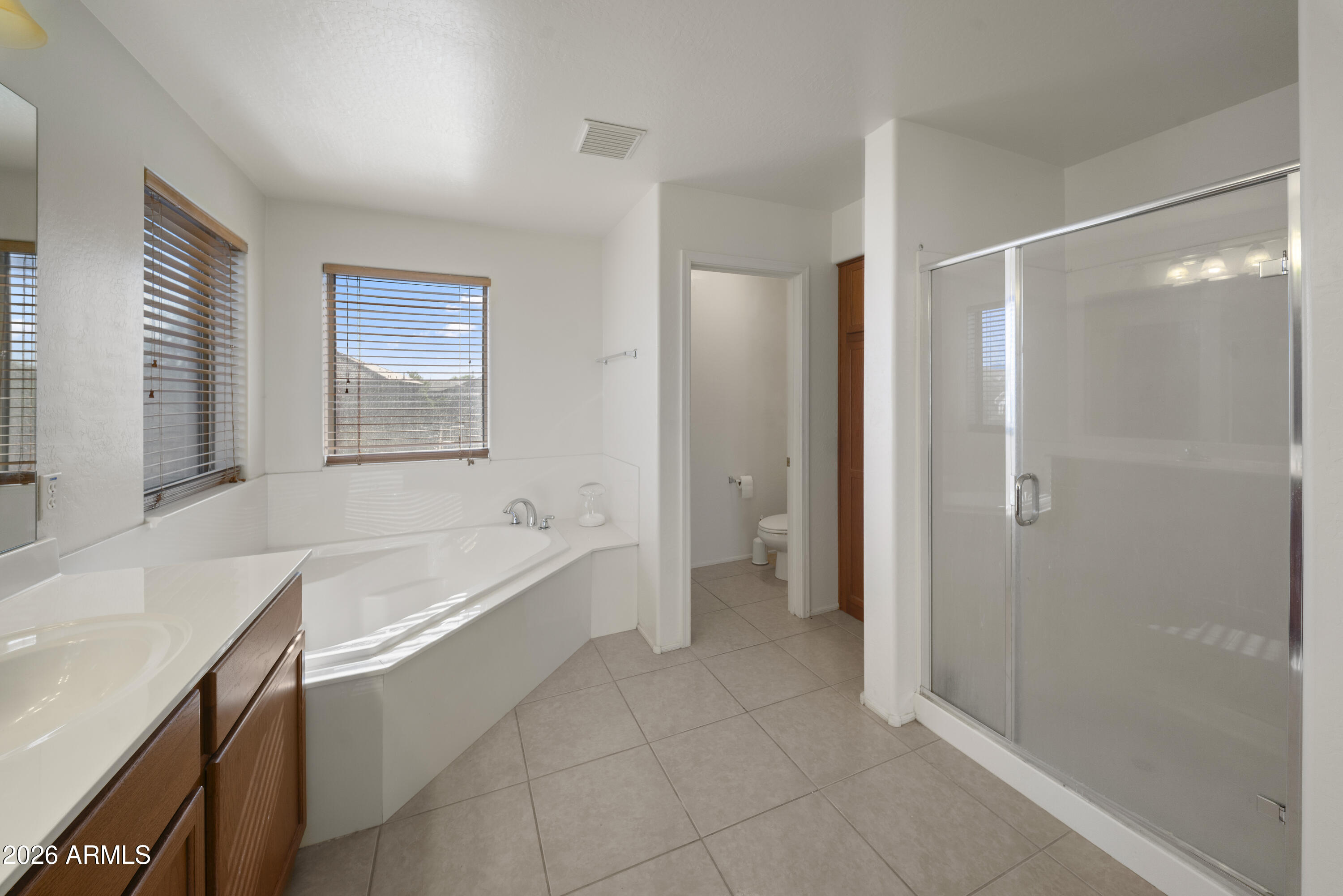 8912 South 40th Drive Phoenix, AZ 85339 - Photo 36 of 49 DSC06681_1