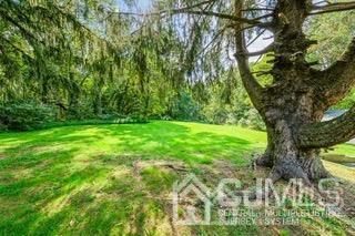 237 Amboy Road Old Bridge, NJ 07747 - Photo 25 of 39 a view of a yard with a tree