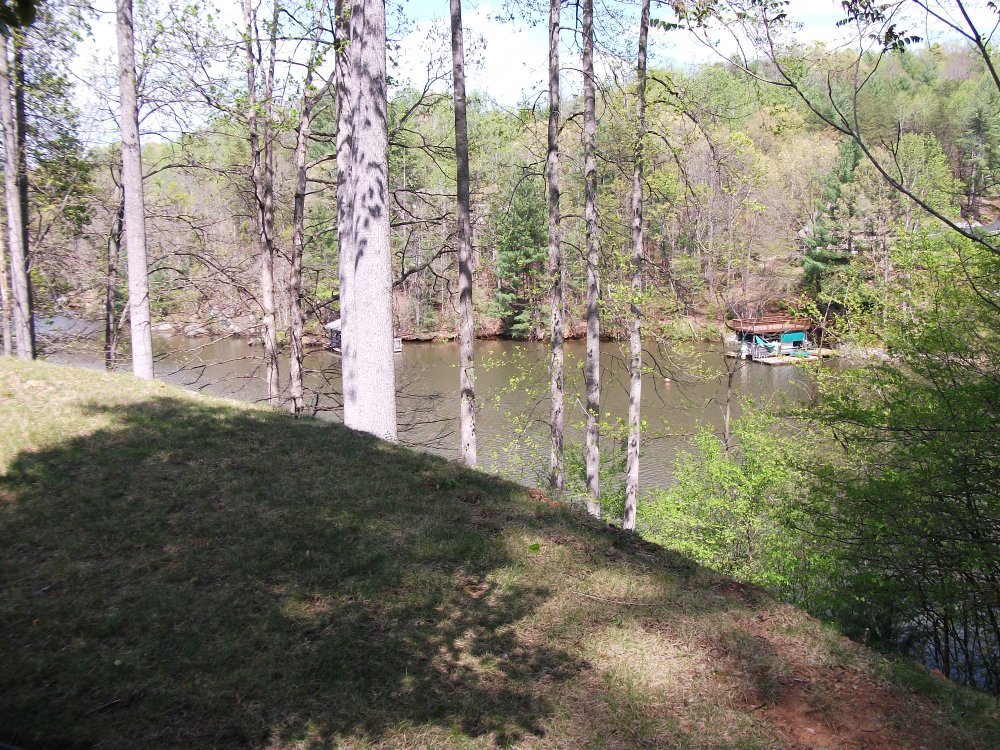 511 Ridgelake Road Goodview, VA 24095 - Photo 15 of 21 a view of back yard of the house