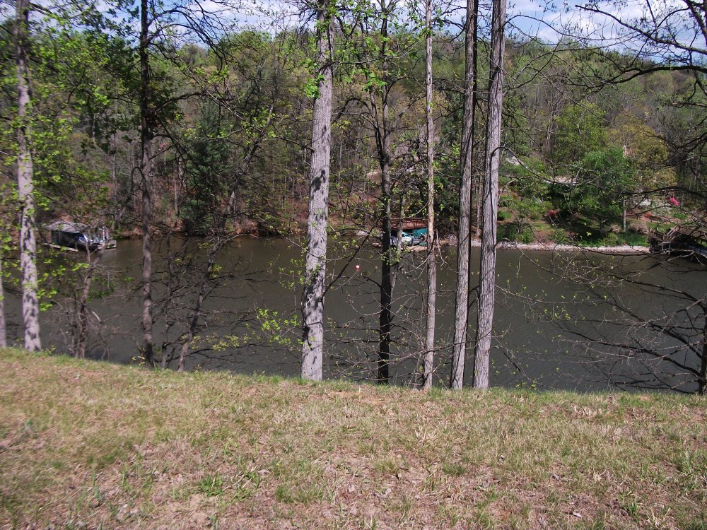 511 Ridgelake Road Goodview, VA 24095 - Photo 17 of 21 a view of a backyard