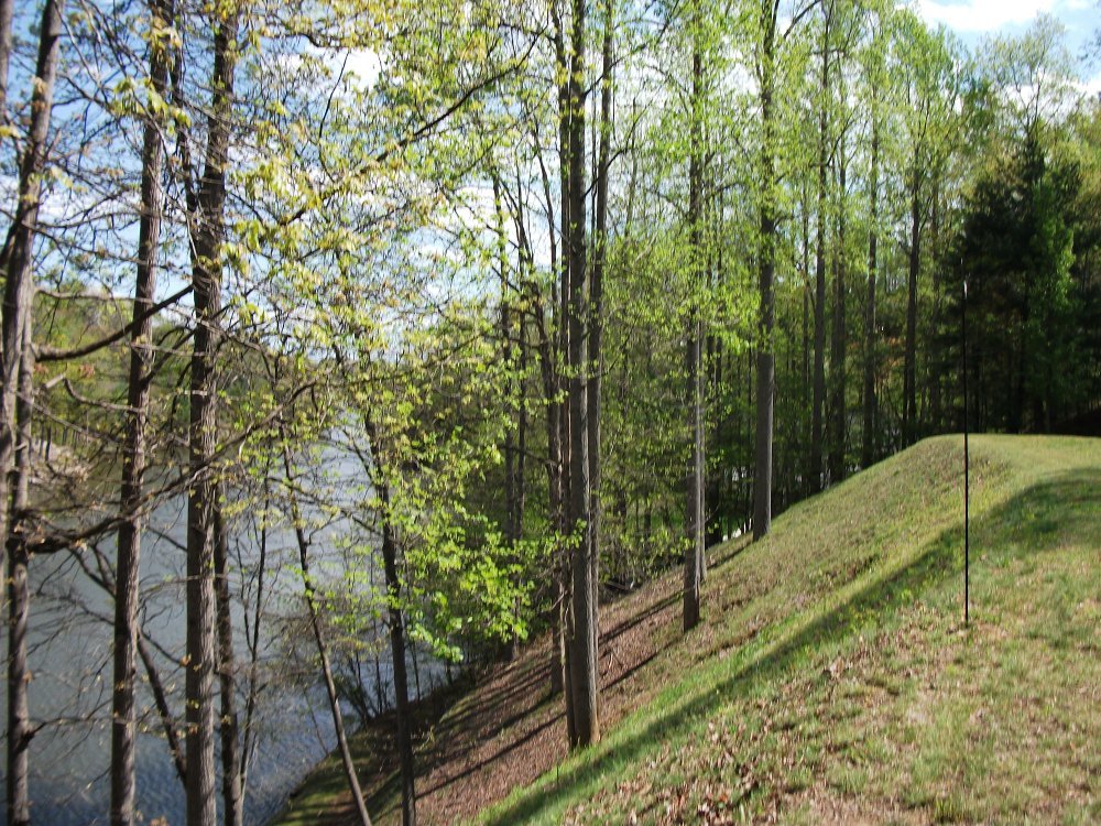511 Ridgelake Road Goodview, VA 24095 - Photo 3 of 21 a view of a backyard