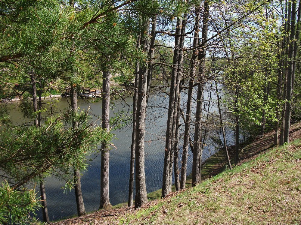 511 Ridgelake Road Goodview, VA 24095 - Photo 4 of 21 a view of a backyard of the house
