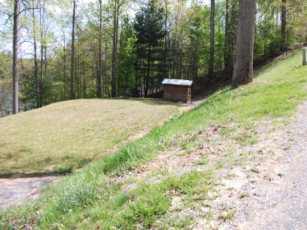 511 Ridgelake Road Goodview, VA 24095 - Photo 9 of 21 a view of a backyard with green space