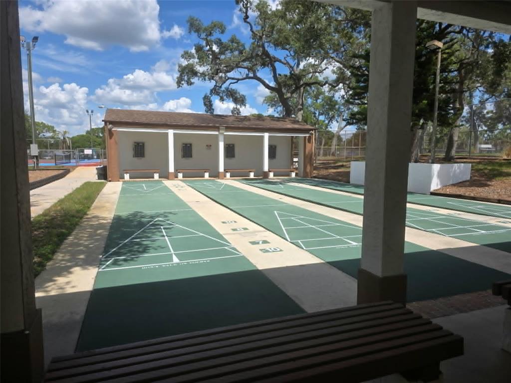 4392 Craftsbury Drive New Port Richey, FL 34652 - Photo 36 of 41 a view of a house with a yard