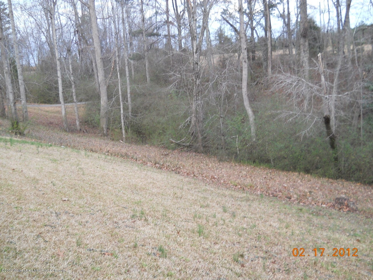 200 Hickory Grove Road Nauvoo, AL 35578 - Photo 8 of 11 Gallery Image 8