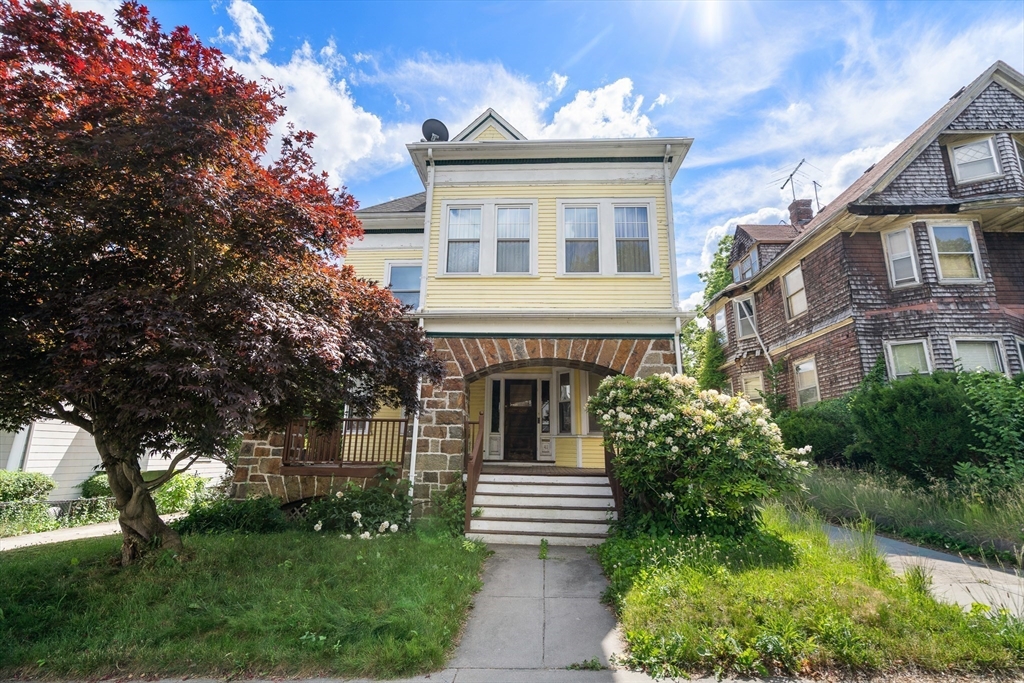 41 Charlotte Street Boston, MA 02121 - Photo 3 of 16