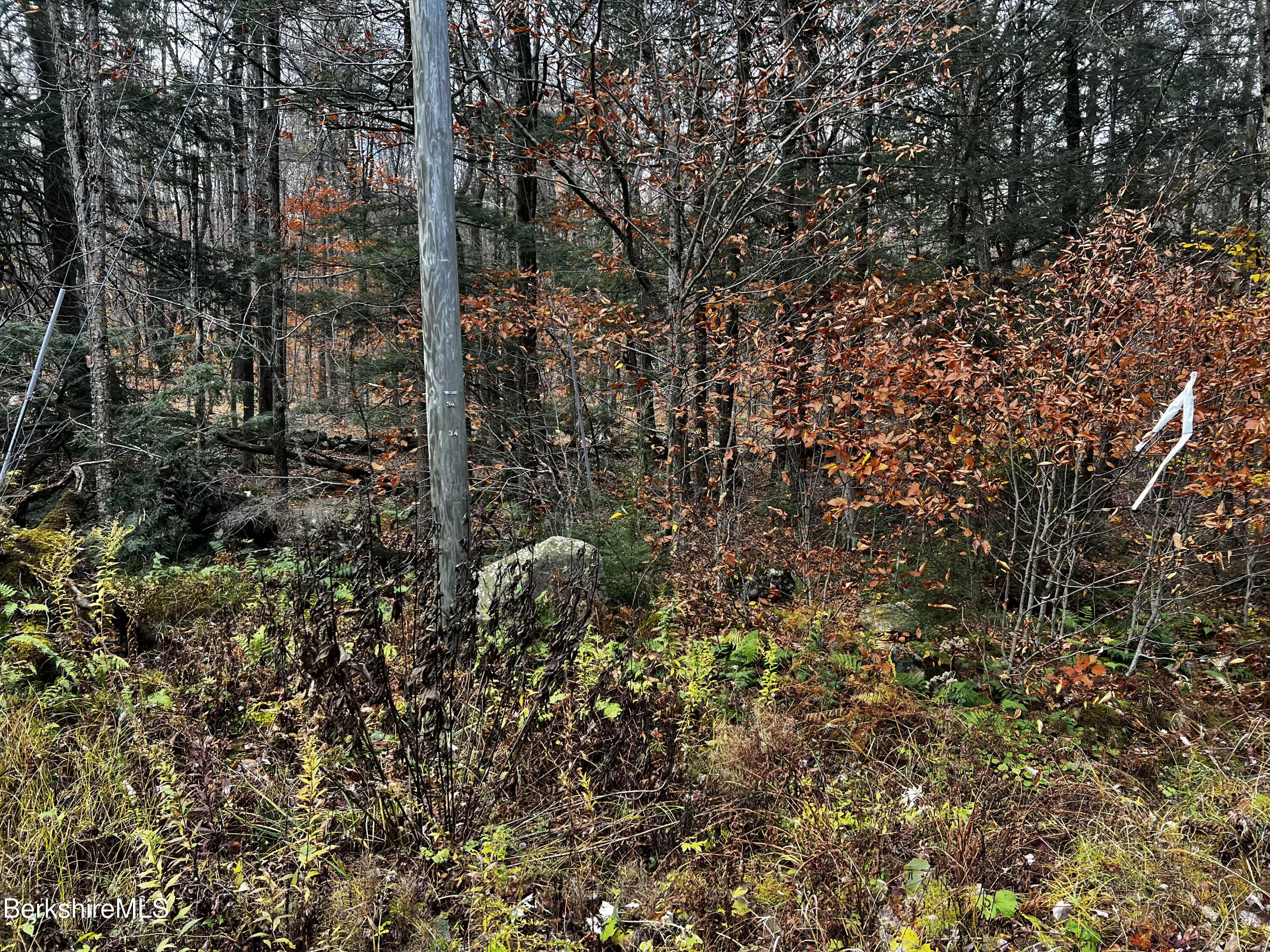 Lot 84 Moberg Road Becket, MA 01223 - Photo 12 of 26 a view of a forest